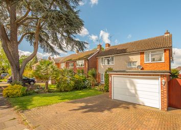 Thumbnail Detached house for sale in Minsterley Avenue, Shepperton