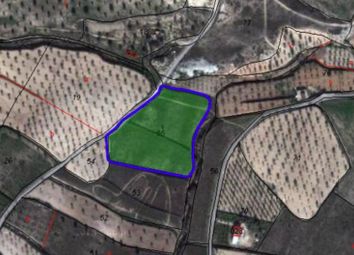 Thumbnail Land for sale in 03630 Sax, Alicante, Spain