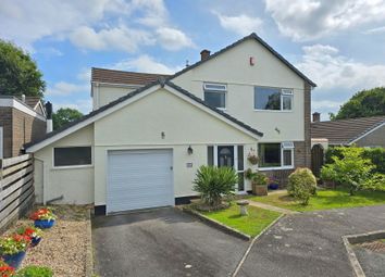 Thumbnail 4 bed detached house for sale in Dousland, Devon