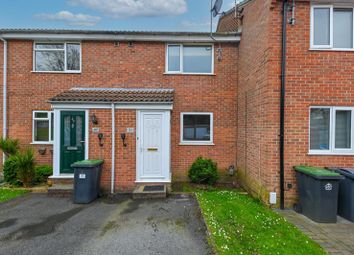 Thumbnail Terraced house to rent in Holly Drive, Waterlooville