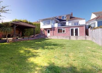 Property For Sale In Westhill Road Paignton Tq3 Buy Properties