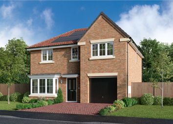 Thumbnail 4 bedroom detached house for sale in "The Kirkwood" at Off Durham Lane, Eaglescliffe