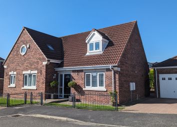 Thumbnail Detached house to rent in Hilldrecks View, Ravenfield, Rotherham
