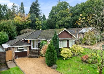 Thumbnail 3 bed detached bungalow for sale in Carron Lane, Midhurst