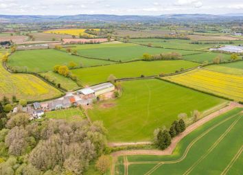 Thumbnail Farm for sale in Weobley, Hereford