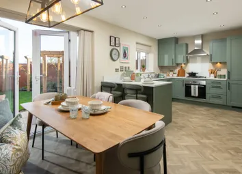 Showhome Photography