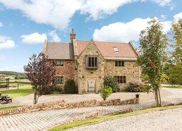 Thumbnail Country house for sale in Mole Hill Farm, Boghouse Lane, Beamish, County Durham