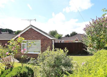 Thumbnail Bungalow for sale in Knaphill, Woking, Surrey