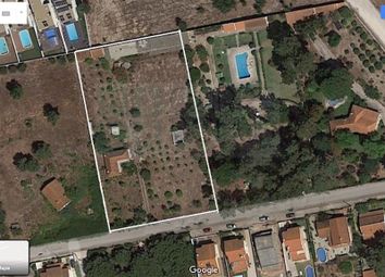 Thumbnail Land for sale in Azeitão (São Lourenço E São Simão), Setúbal, Setúbal