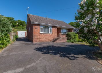Property listing in Newport, Isle of Wight
