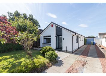 Thumbnail 3 bed bungalow for sale in Tirry Avenue, Renfrew