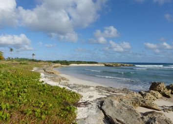 Thumbnail Land for sale in Christ Church, Barbados