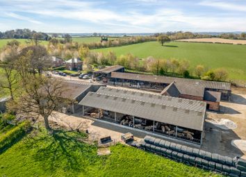 Oaks Farmyard