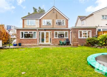 Thumbnail 5 bed detached house for sale in The Gardens, Doddinghurst, Brentwood, Essex