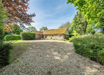 Thumbnail Bungalow to rent in Upper Green, Inkpen, Hungerford