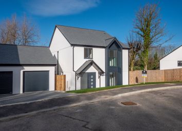 Thumbnail 4 bed detached house for sale in West Street, Kilkhampton, Bude
