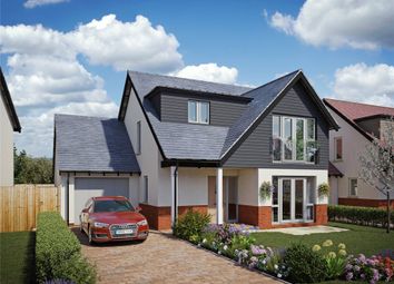 Thumbnail Detached house for sale in Orcombe Gardens, Exmouth, Devon
