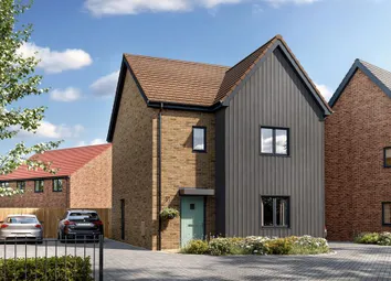 Dandara - Zoopla -