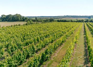 Thumbnail Land for sale in Somerby Vineyard &amp; Winery, Somerby, Barnetby, Lincolnshire