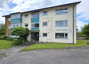 Thumbnail Flat for sale in 41 Mount Pleasant Road, Poole