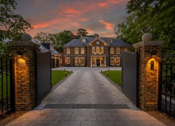 Twilight Front