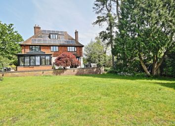 Thumbnail Detached house to rent in Wych Hill Lane, Hook Heath, Woking