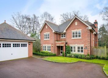 Thumbnail Detached house to rent in Woodham Gate, Woking