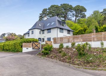 The Property