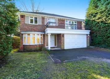 5 Bedroom  for rent