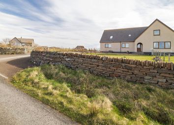 Thumbnail Detached house for sale in Hillhead, Lybster, Highland