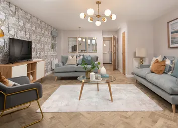 Showhome Photography