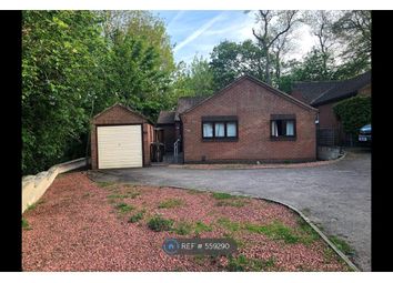 1 Bedroom  for rent