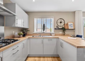 Showhome Photography