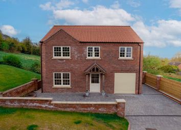 Thumbnail Detached house for sale in The Hill, Saxby-All-Saints, Brigg