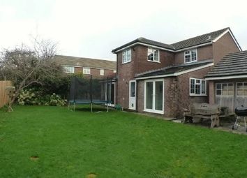 Thumbnail 4 bed detached house to rent in Highmead Avenue, Newton, Swansea