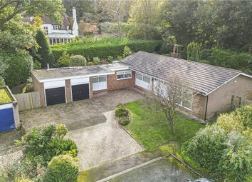 Thumbnail 3 bed detached bungalow for sale in Peace Grove, Welwyn, Hertfordshire