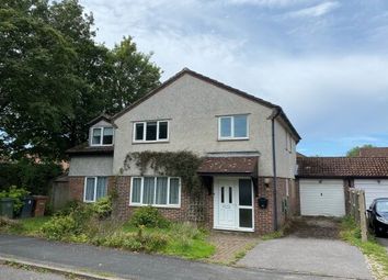 Thumbnail Detached house to rent in Newlyn Walk, Romsey