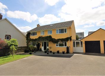 Thumbnail Detached house for sale in Holbear, Forton Road, Chard
