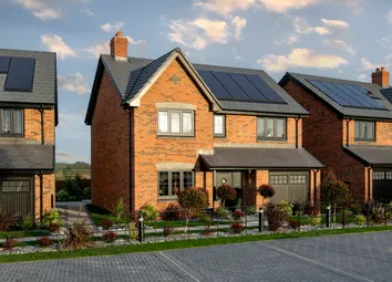 Showhome Photography