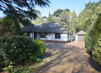 Thumbnail 5 bed bungalow to rent in Lindsay Road, Branksome Park, Poole