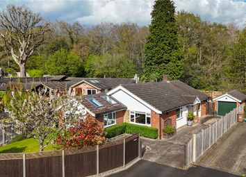 Thumbnail Bungalow for sale in Ravenscroft Close, Ash, Surrey