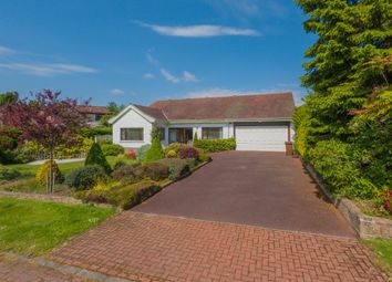 Thumbnail 4 bed detached bungalow to rent in Forrestfield Crescent, Newton Mearns, Glasgow