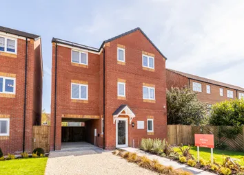 Show Home