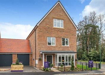 Thumbnail Detached house for sale in Kings Ride, Ascot