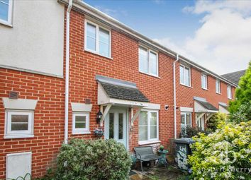 Thumbnail Terraced house to rent in Newman Drive, Kesgrave, Ipswich
