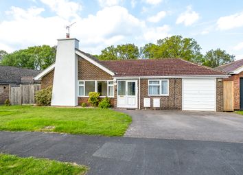 Thumbnail Bungalow for sale in Grayshott, Hindhead