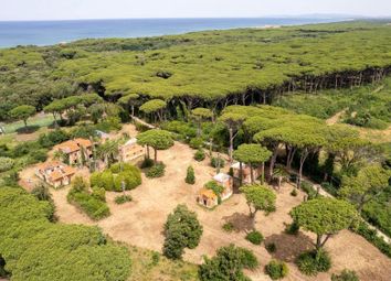 Thumbnail Commercial property for sale in Toscana, Livorno, Castagneto Carducci