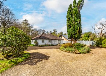 Thumbnail Bungalow for sale in Radnor Lane, Holmbury St. Mary, Dorking, Surrey