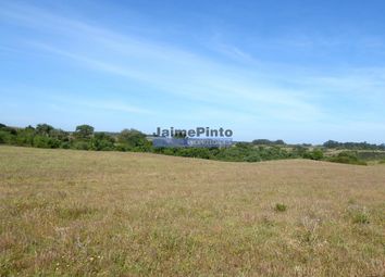 Thumbnail Farm for sale in 640.000m2 Of Cultivated Land, 60.000m2 Of Which Are Irrigated, São Salvador E Santa Maria, Odemira, Beja, Alentejo, Portugal