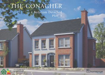 Thumbnail Detached house for sale in The Conagher, Benbraddagh Rise, Dungiven